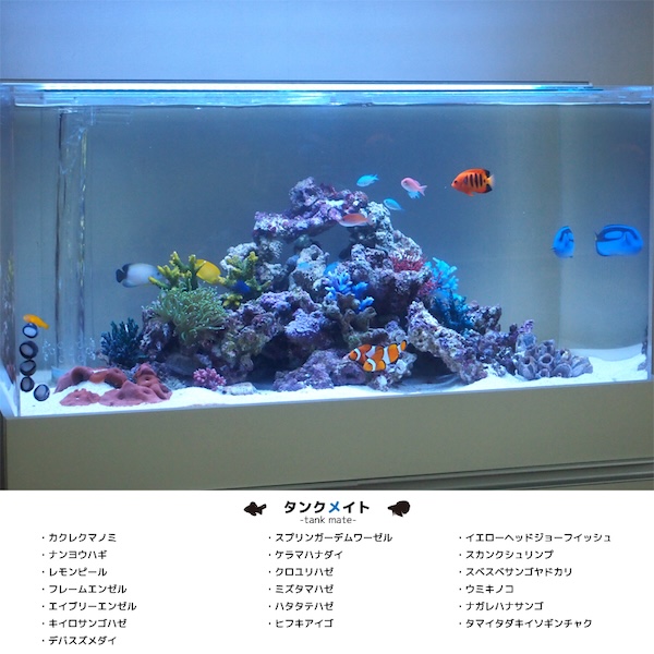 設置事例2