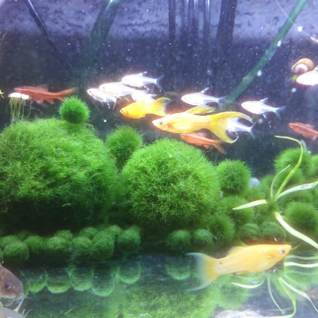 設置事例1